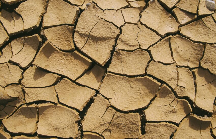 dry soil