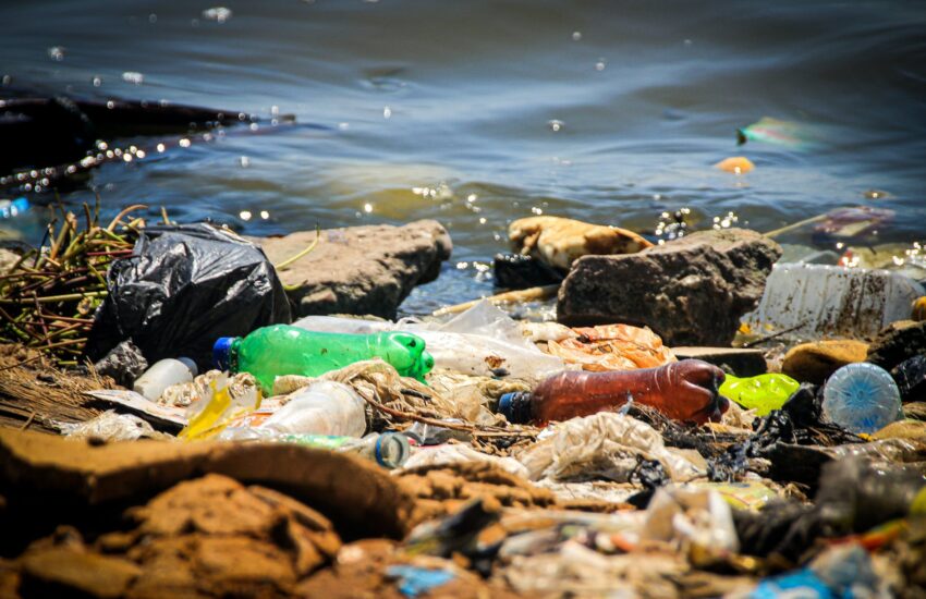 landscape beach water lake