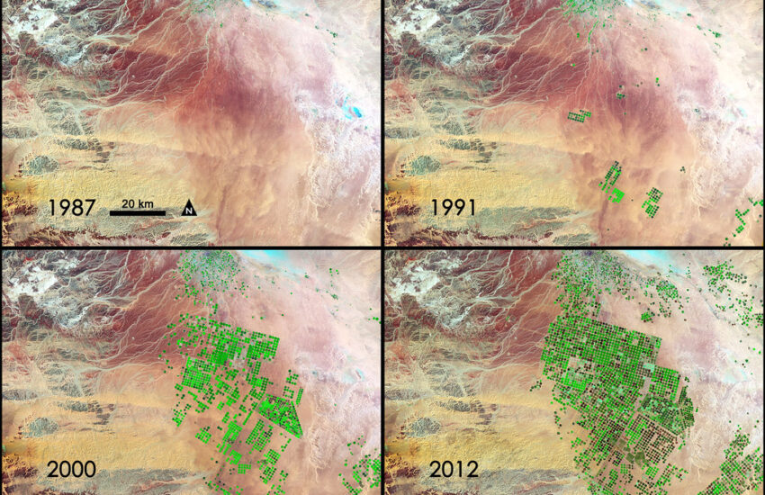 NASA Sees Fields of Green Spring up in Saudi Arabia