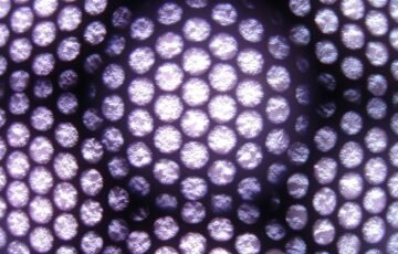 abstract pattern of purple spheres